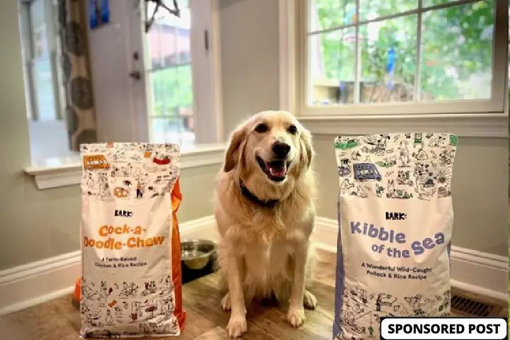 bark customizes dog food to ensure the best diet for your best friend