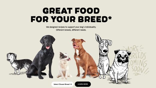 bark customizes dog food to ensure the best diet for your best friend