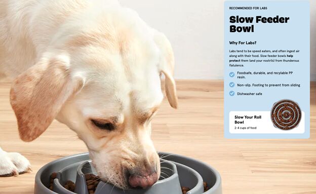 bark customizes dog food to ensure the best diet for your best friend