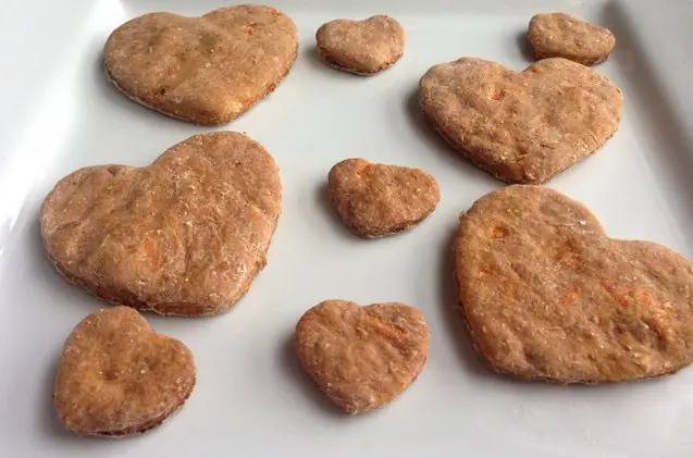 carrot delight dog treat recipe