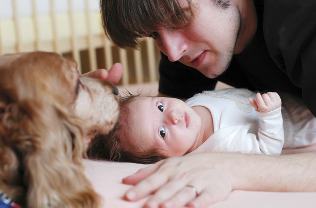 how to introduce your dog to a new baby