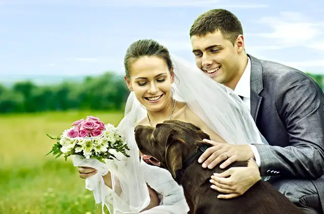 4 blissful tips on how to include a dog in your wedding