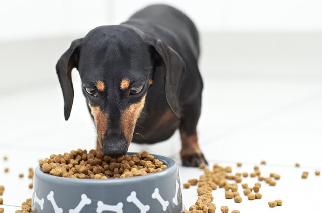 how is commercial dog food regulated