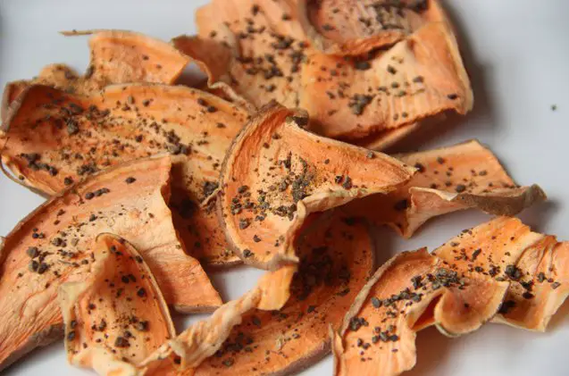 dehydrated sweet potato dog treat recipe