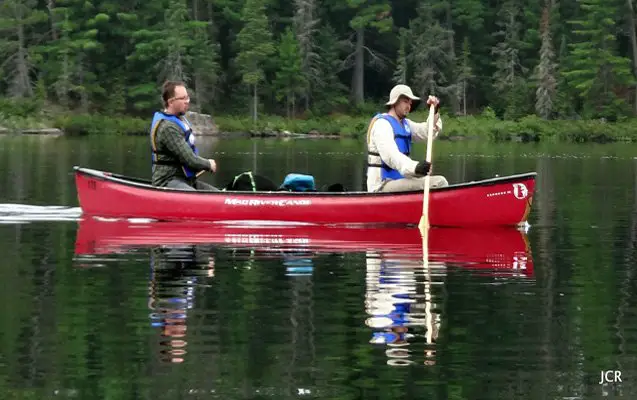 up the creek adventures in canine canoeing part 2