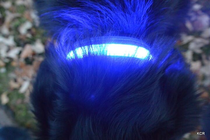 product review head lites led collars