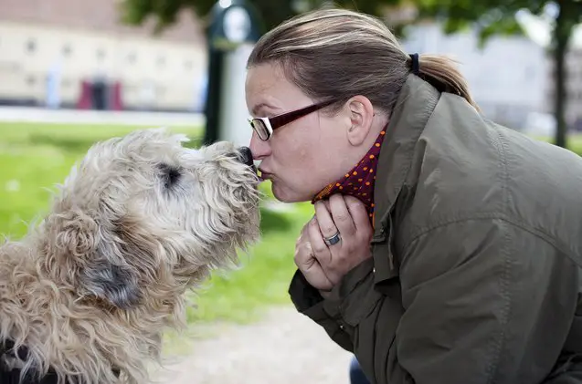 dont worry human science says your dog loves you lots