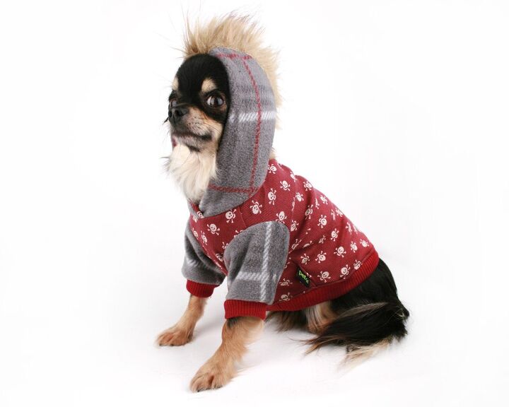 gen y dogma top 5 christmas etsy picks for the urban pet