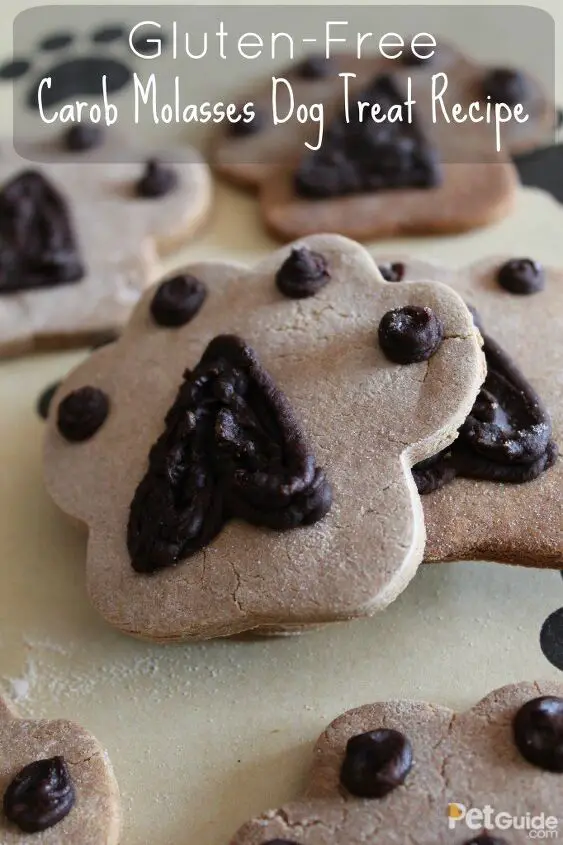 gluten free carob molasses dog treat recipe