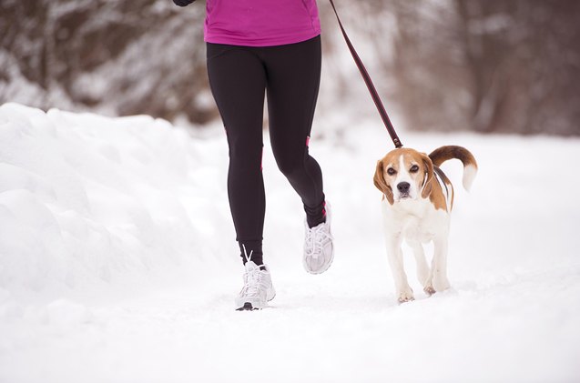 how to start running with your dog