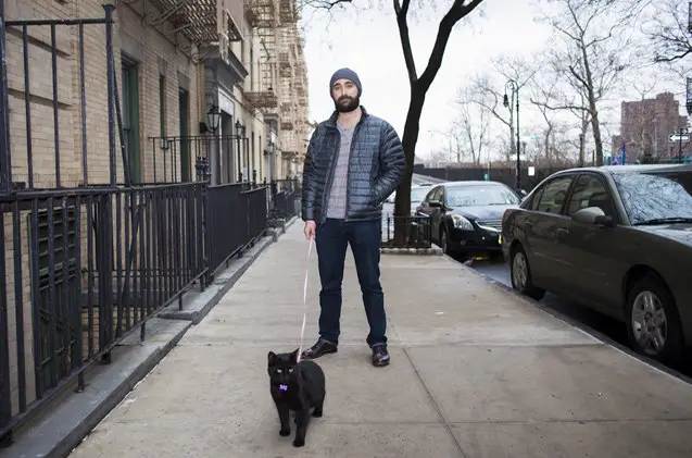 photographic proof that men who own cats are hot