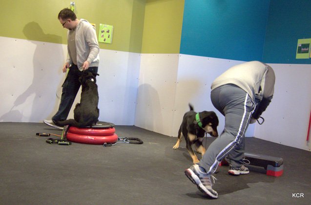 furry fitness fuzzy buns of steel