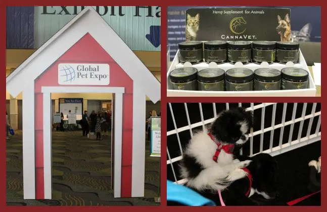 global pet expo 2015 my suitcase statistics and other notable numbers