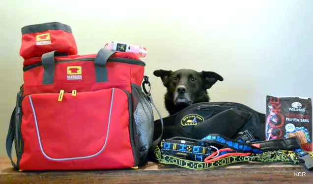 product review mountainsmith k 9 cube