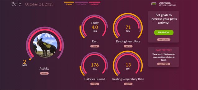 product review voyce health monitor