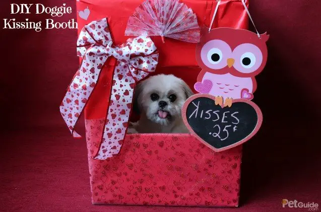 diy doggy kissing booth