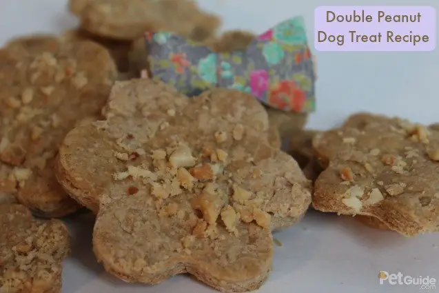 double peanut dog treat recipe