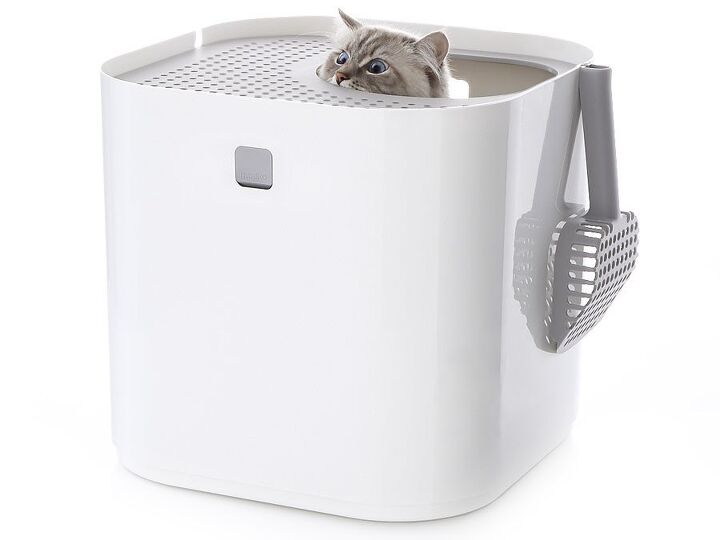 modko litter boxes keep your decor clean and classy