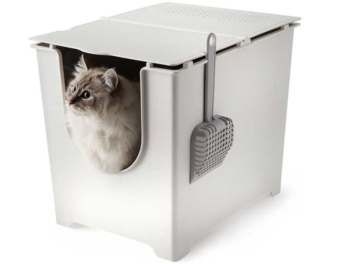 modko litter boxes keep your decor clean and classy