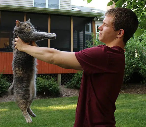 teen takes his cat to the purrom