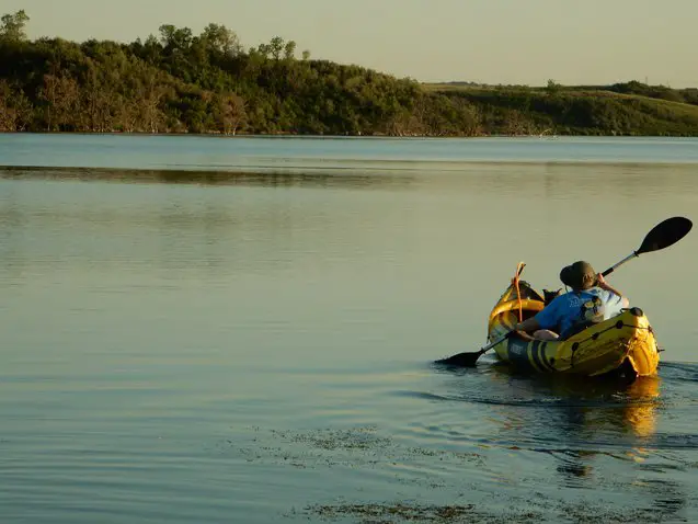 doggy paddling how to kayak with your dog