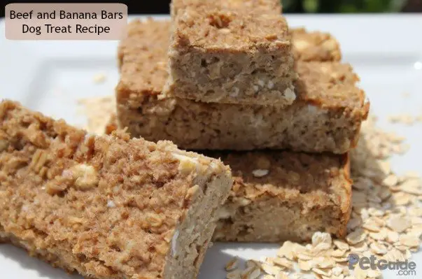 beef and banana bars dog treat recipe