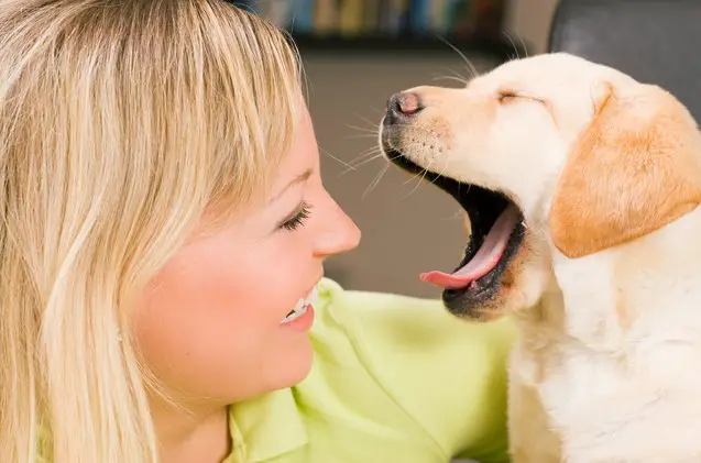 6 bizarre ways our dogs talk to us