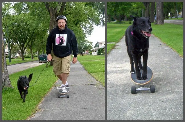 get stoked to go skateboarding with your dog