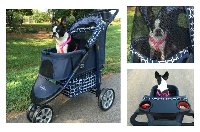 product review gen7pets monaco stroller