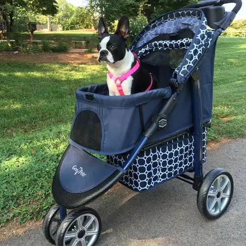 product review gen7pets monaco stroller