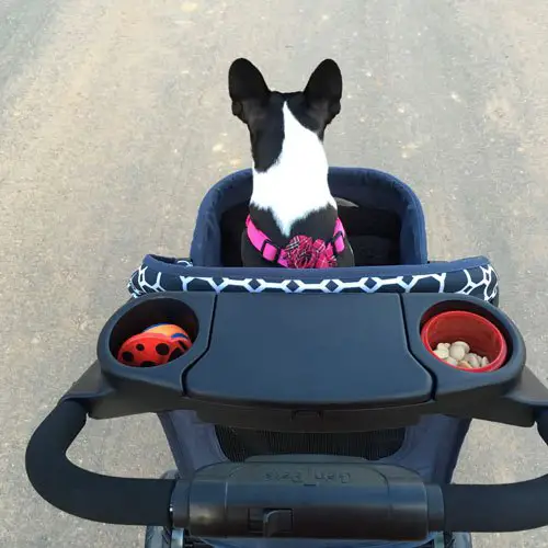 product review gen7pets monaco stroller