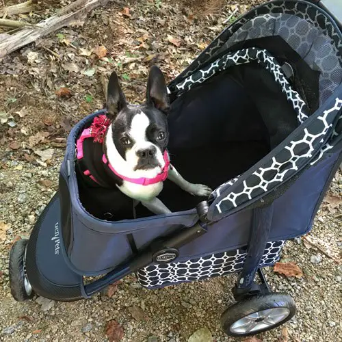 product review gen7pets monaco stroller