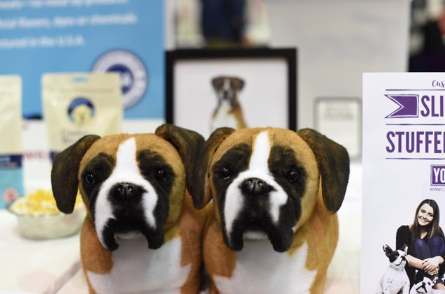 global pet expo 2017 cuddle clone slippers lets you be a copy cat or