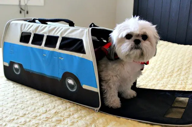 product review the monster factorys vw campervan pet carrier