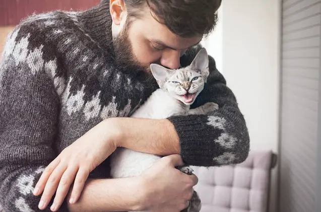 top 10 cats who need a hug