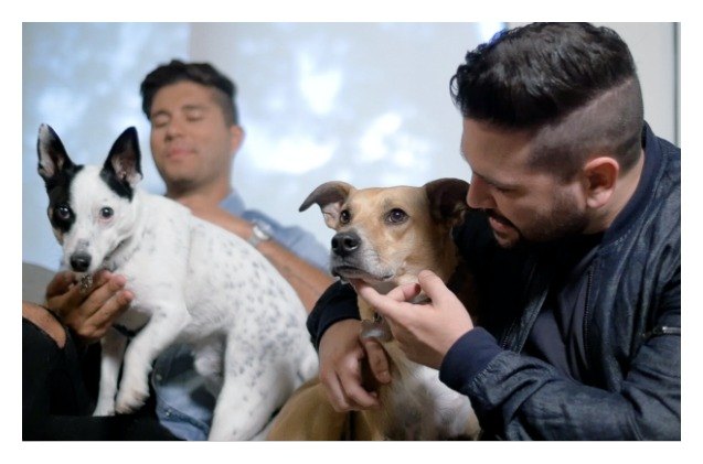 country duo dan shay share touring tips for traveling with pets