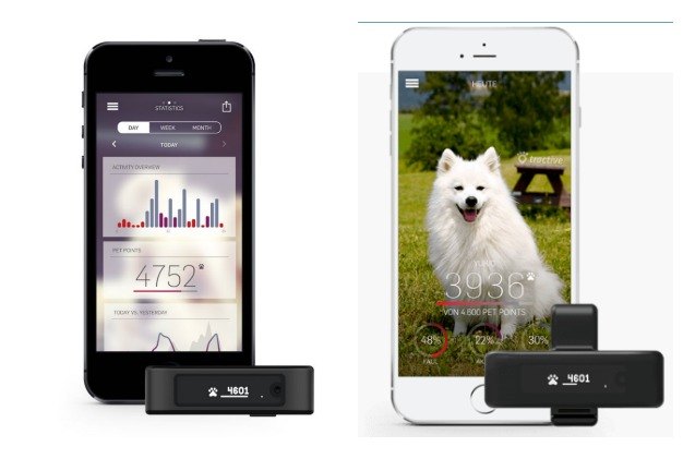 tractive 3g gps keeps tabs on your pet in real time