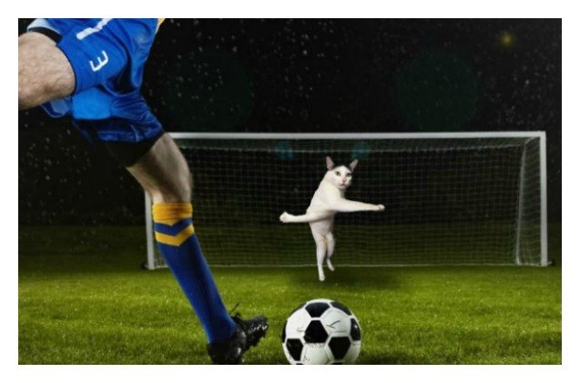 cats photoshopped in soccer pictures score all the goals