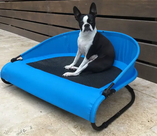 product review gen7pets cool air cot