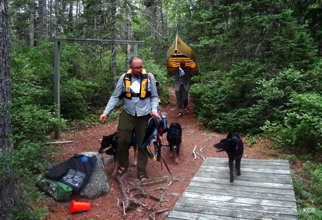 what i did this summer canine canoe adventure in nova scotia part 1