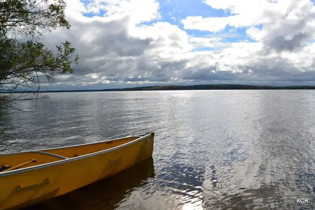 what i did this summer canine canoe adventure in nova scotia part 3