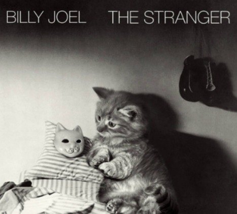 kitten album covers proves that cats rock