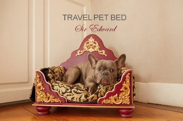 global pet expo a royal bed designed especially for your furry duches