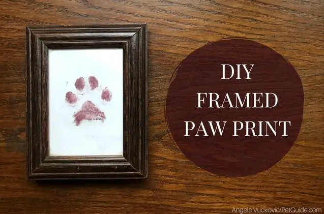 diy framed paw print