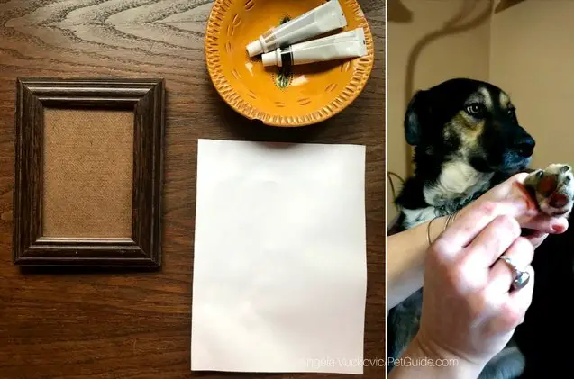 diy framed paw print