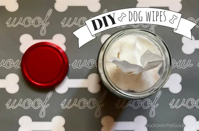 diy dog wipes