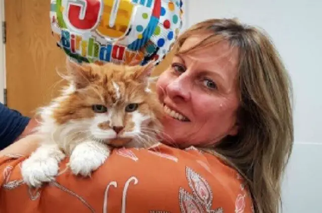 oldest cat in the united kingdom hits the big three oh