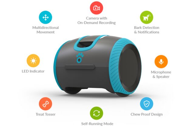 laka is a robot like companion for lonely pets