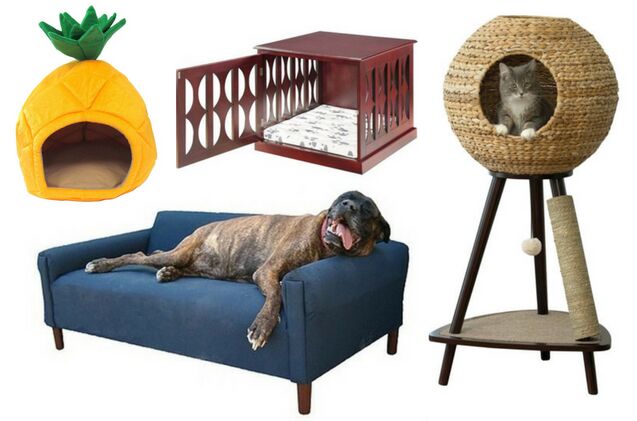 wayfair launches archie oscar a line of fab pet furniture and