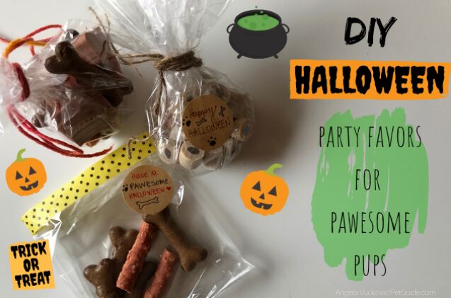 diy halloween party favors for pawesome pups